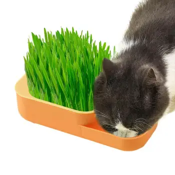 Ящик для кошачьей травы, кашпо, ящики для выращивания кошачьей травы, лоток для рассады, посадочный ящик, герметичный контейнер для выращивания органической кошачьей травы
